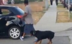 Sahibini Korumak İsteyen Köpeğe Acımasız Polis Kurşunu