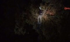 Başına poşet geçirilerek ağaca asılan cansız manken, polisi alarma geçirdi