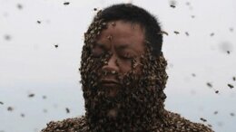 Vücudunu 460 bin arıya emanet etti