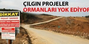 Çılgın projeler ormanları yok ediyor