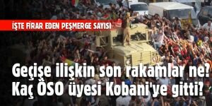 İşte Peşmerge geçişine ilişkin son rakamlar