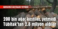 Tübitak'tan 200 bin ağaç kesen şirkete 2.8 milyon