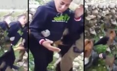 İsrail askerlerinden Filistinli çocuğa köpekli işkence