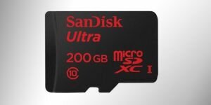 microSD, microSD olalı böylesini görmedi...