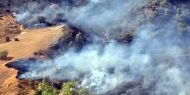 Cudi Dağı'nda orman yangını sürüyor