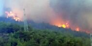 Mersin'de Orman Yangını! 1 Mahalle Boşaltıldı