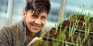 Kurumuş bitkileri hayata döndürecek bilim çalışması