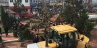 AKP'den cami için ağaç katliamı