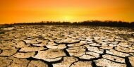 ​‘İklim değişikliği yarım milyon can alacak’