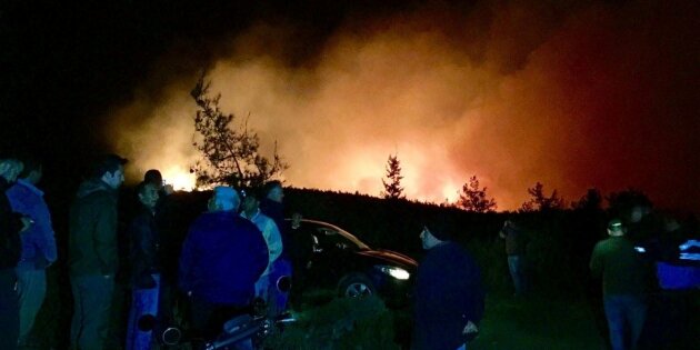 Marmaris’te orman yangını