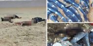 Fildişi Sahili'nde otele silahlı saldırı